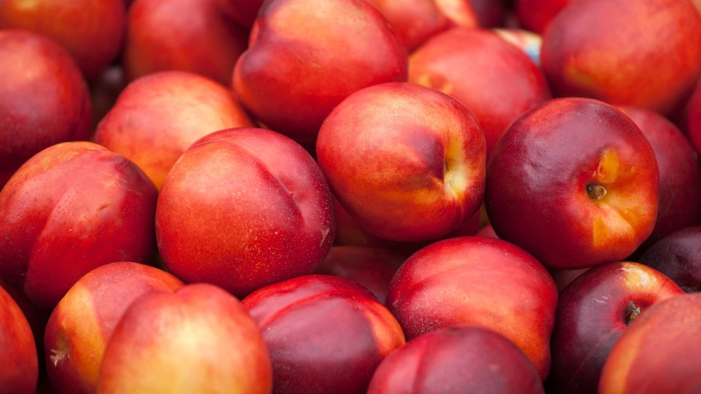 malfruit