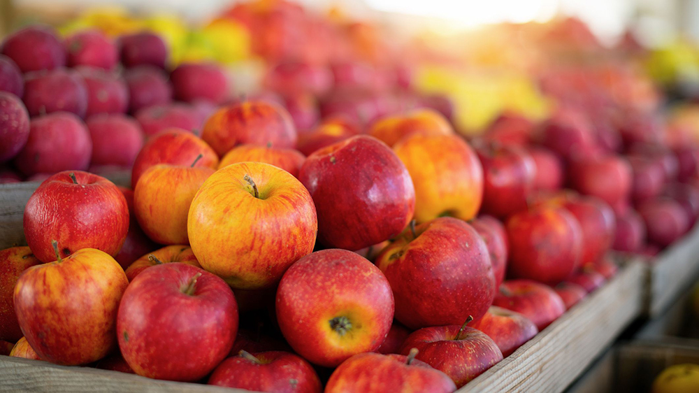 malfruit