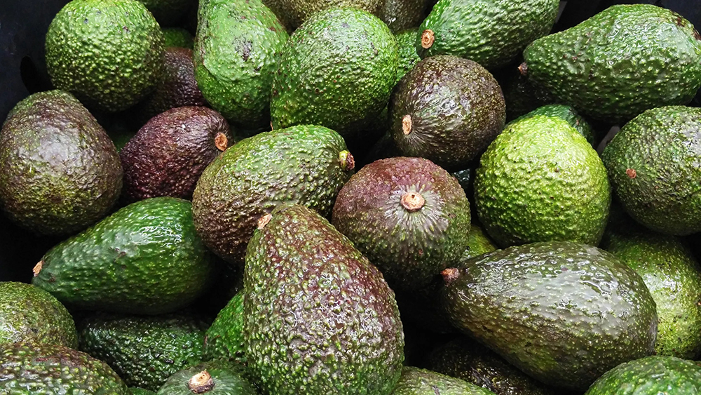 malfruit
