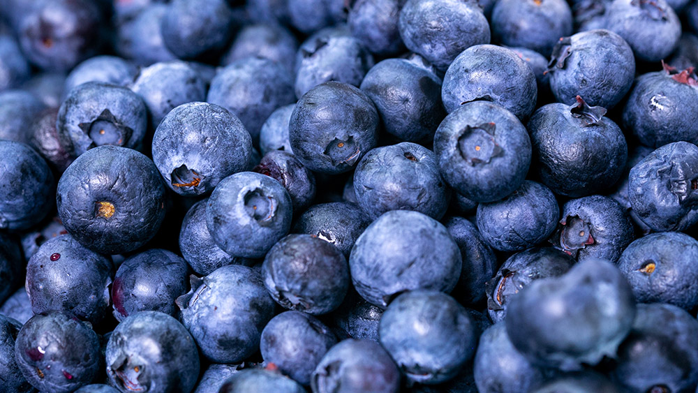 malfruit