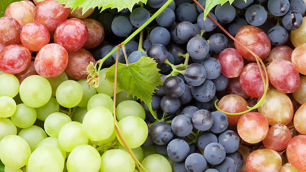 malfruit