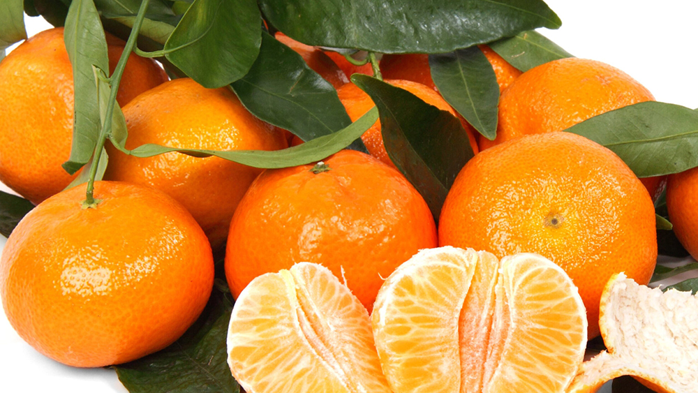malfruit