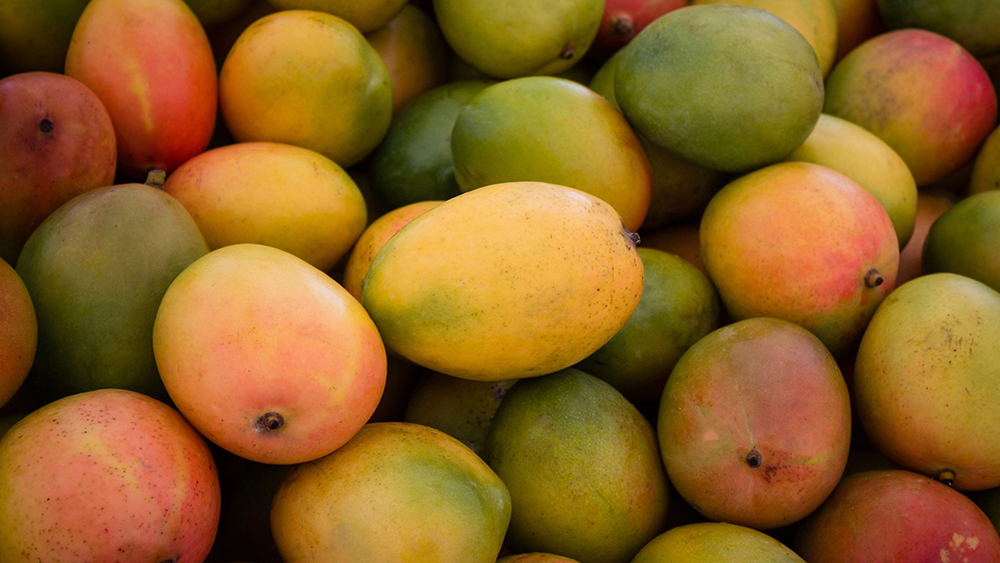 malfruit
