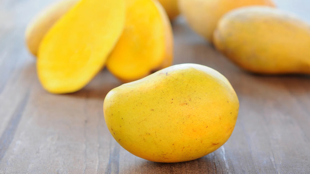 malfruit