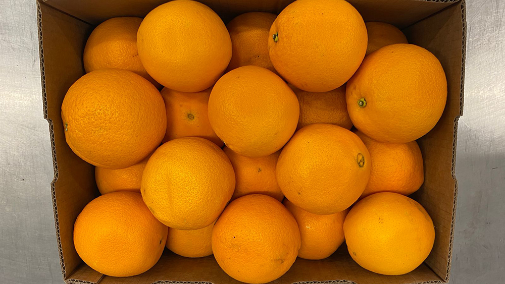 malfruit