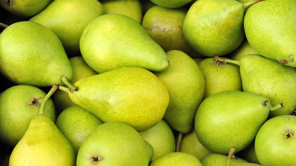 malfruit