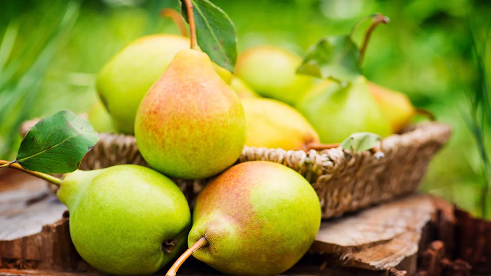 malfruit