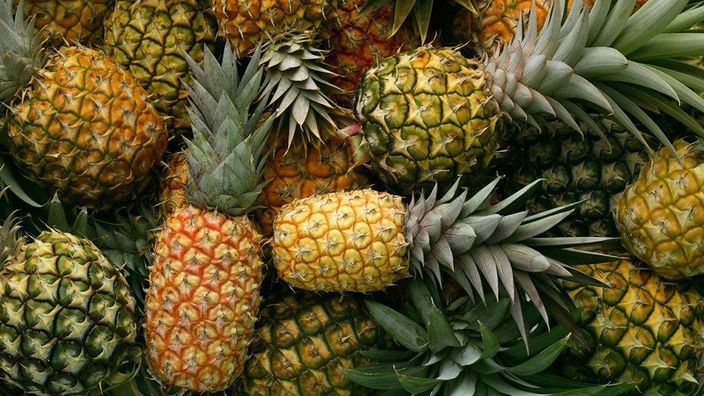 malfruit