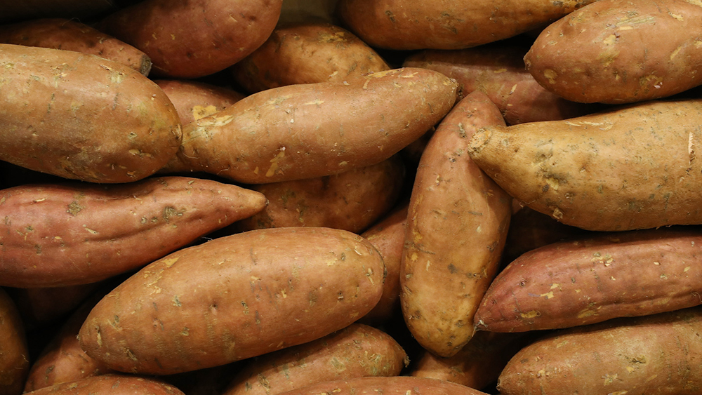 malfruit